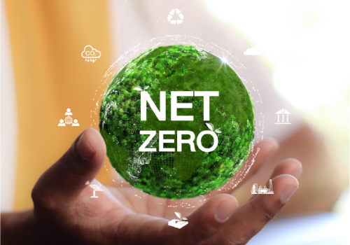 How Behaviour Change Helps Organisations Achieve Net-Zero Goals