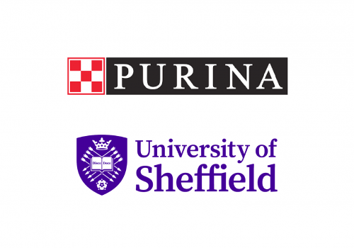 Nestlé Purina and Partners Pilot a New Approach to Dog Obesity