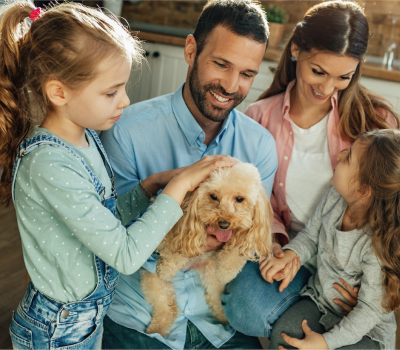 Nestlé Purina Collaboration Makes Behaviour Change Simple