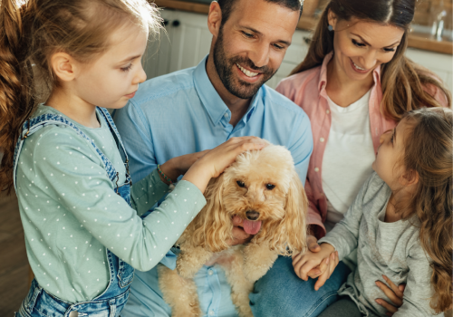 Nestlé Purina Collaboration Makes Behaviour Change Simple