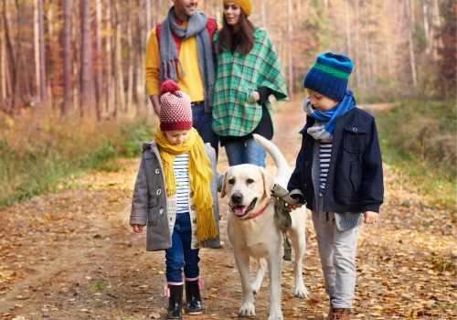 Nestlé Purina Partnership: The Data That Matters